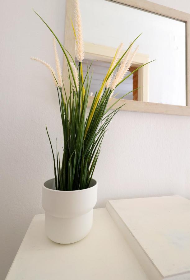 Apartament Feidiou 1 Aegina Zewnętrze zdjęcie